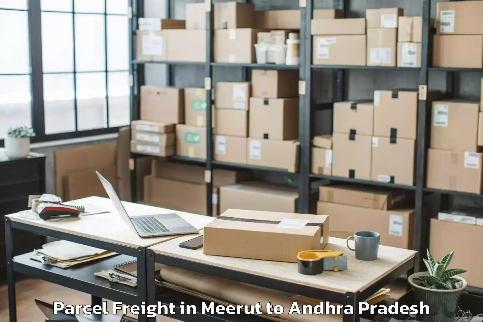 Meerut to Thamminapatnam Parcel Freight Booking